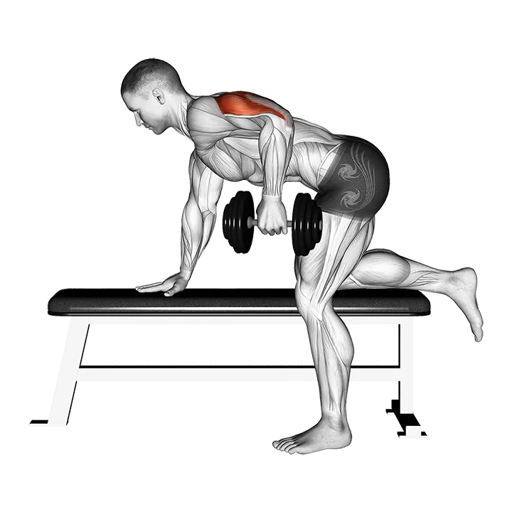Dumbbell Kickback exercise animation (Male)