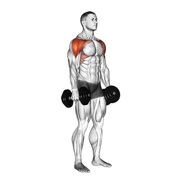 Dumbbell Lateral to Front Raise