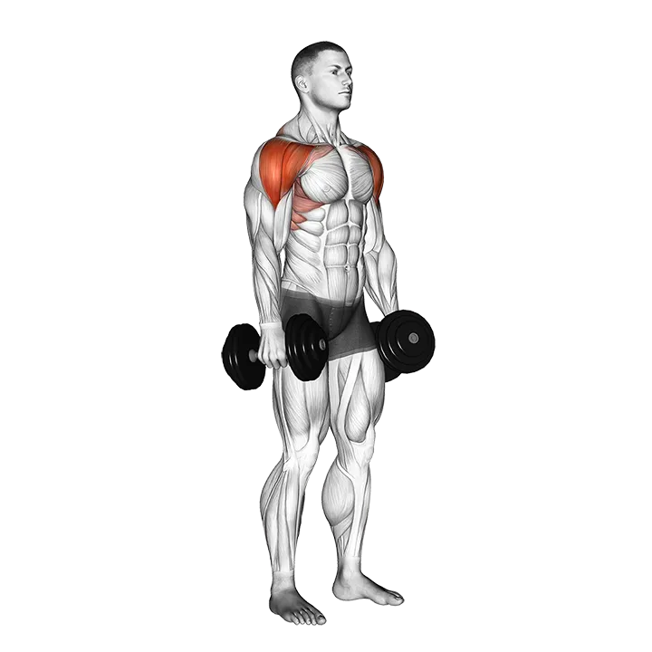 Dumbbell Lateral to Front Raise exercise animation (Male)