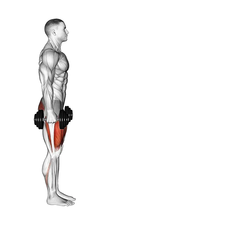 Dumbbell Lunge exercise animation (Male)