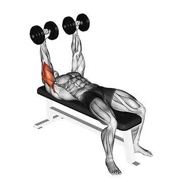 Dumbbell Lying  Extension (across face)