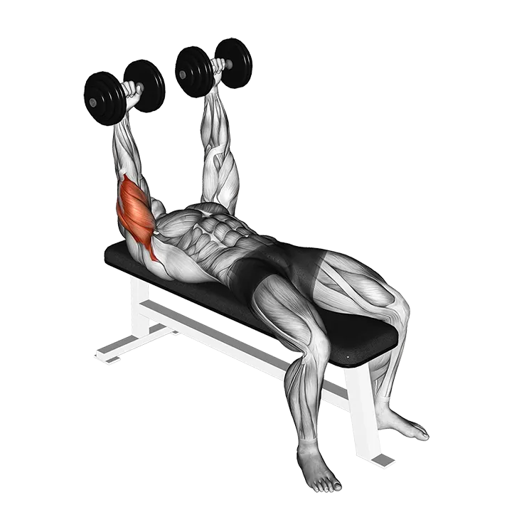 Dumbbell Lying Extension (across face) exercise animation (Male)