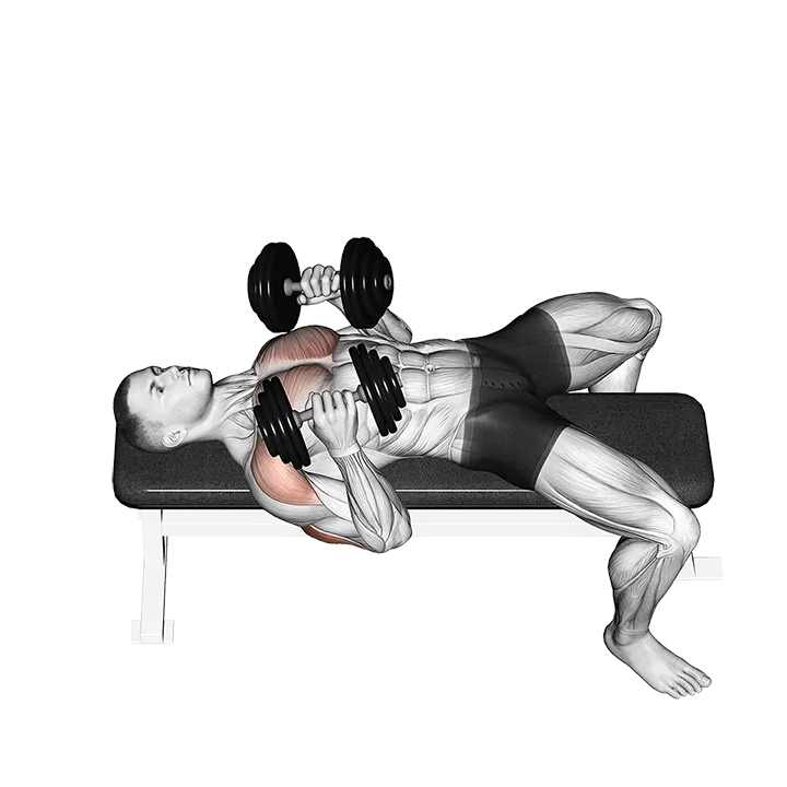 Dumbbell Lying Elbow Press exercise animation (Male)