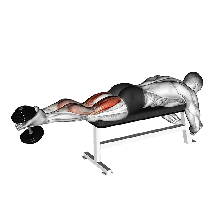 Dumbbell Lying Femoral exercise animation (Male)