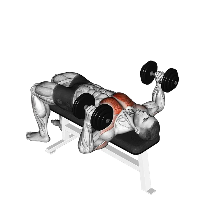 Dumbbell Lying Hammer Press exercise animation (Männlich)