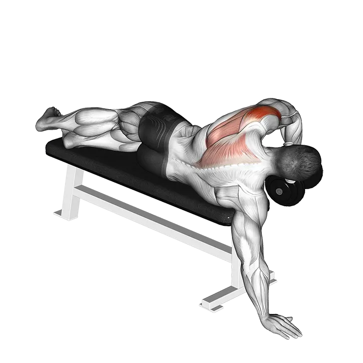 Dumbbell Lying One Arm Deltoid Rear exercise animation (Male)