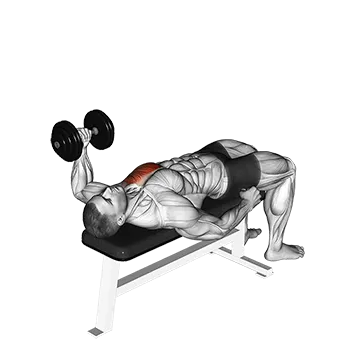 Dumbbell Lying One Arm Press (version 2)