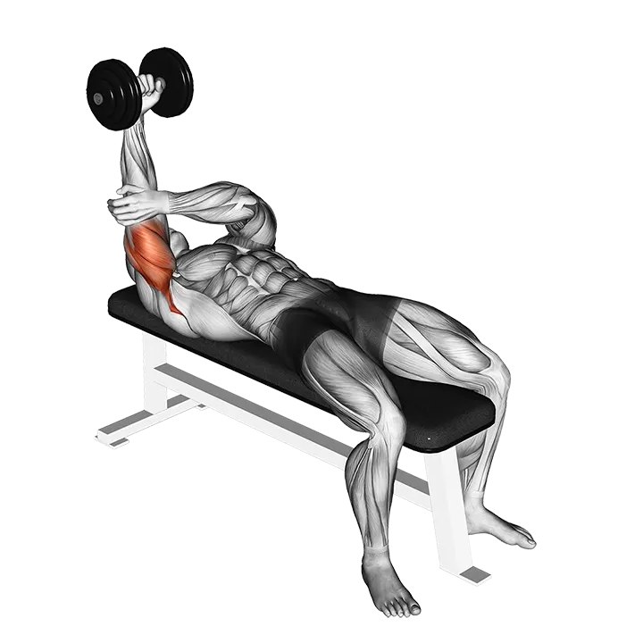 Dumbbell Lying One Arm Pronated Triceps Extension exercise animation (Male)