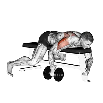 Dumbbell Lying One Arm Rear Lateral Raise
