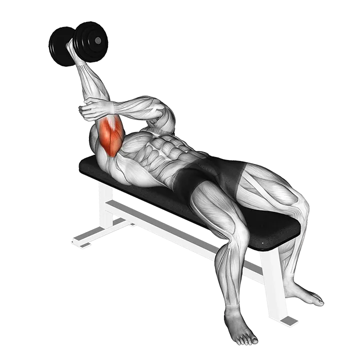 Dumbbell Lying One Arm Supinated Triceps Extension exercise animation (Male)