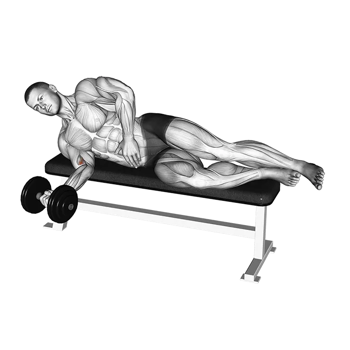 Dumbbell Lying Pronation exercise animation (Male)