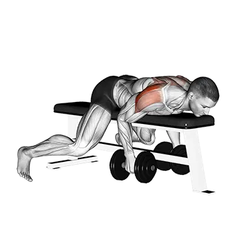 Dumbbell Lying Rear Lateral Raise