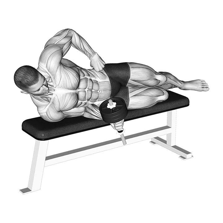 Dumbbell Lying Supination exercise animation (Male)