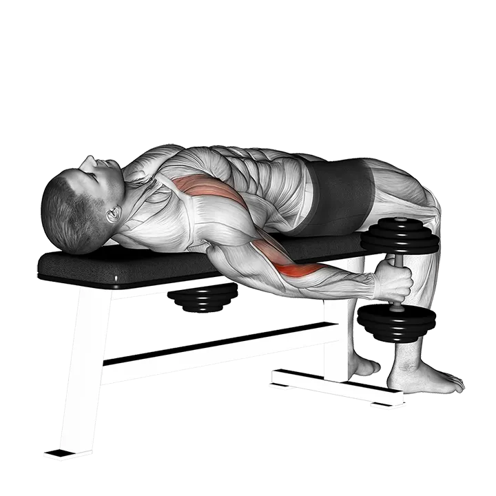 Dumbbell Lying Supine Curl exercise animation (Hombre)