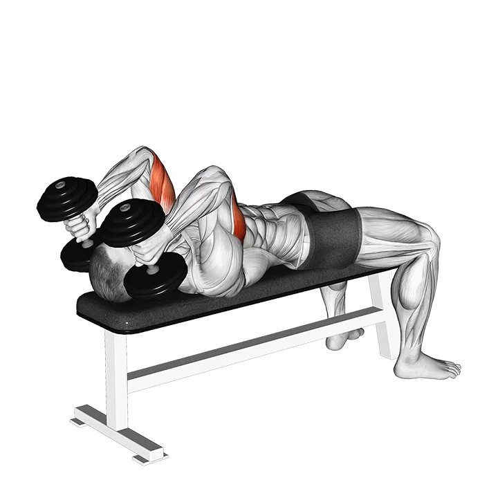 Dumbbell Lying Triceps Extension exercise animation (Male)