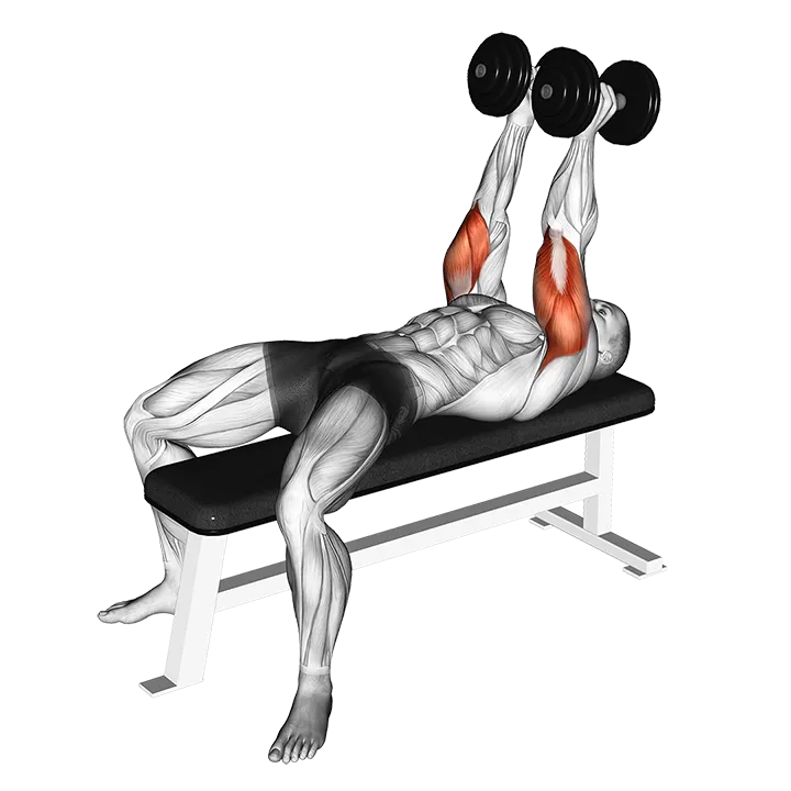 Dumbbell Neutral Grip Bench Press exercise animation (Male)