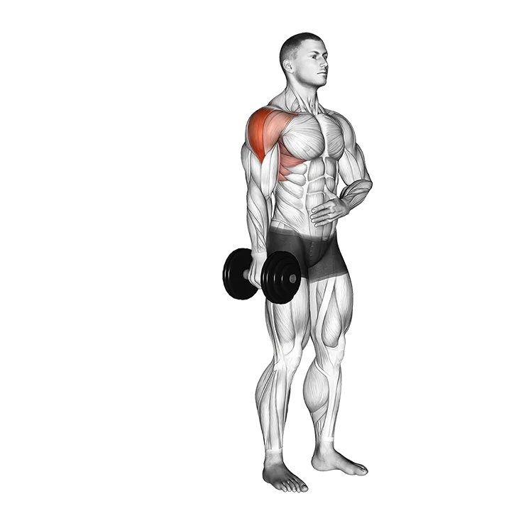 Dumbbell One Arm Lateral Raise exercise animation (Male)