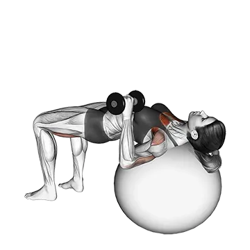 Dumbbell One Arm Press (on stability ball)
