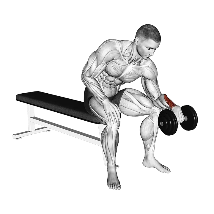 Dumbbell One arm Revers Wrist Curl exercise animation (Male)