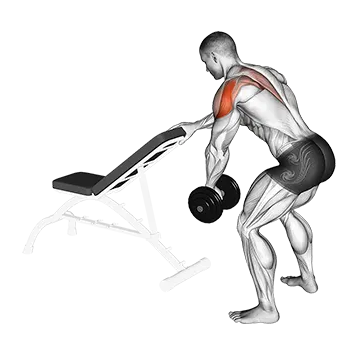 Dumbbell One Arm Reverse Fly (with support)