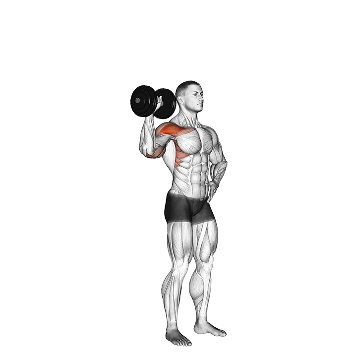 Dumbbell One Arm Shoulder Press (version 2) exercise animation (Male)