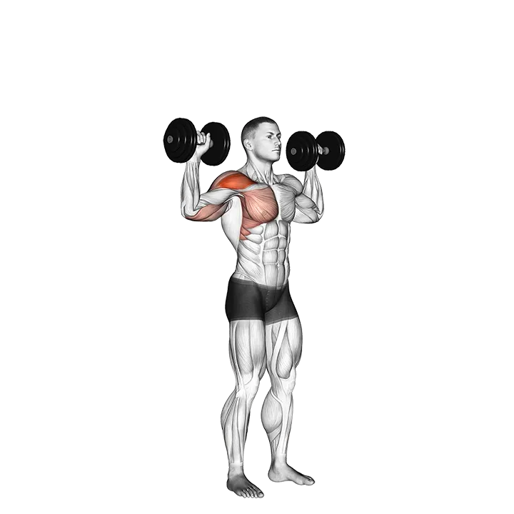 Dumbbell One Arm Shoulder Press exercise animation (Male)