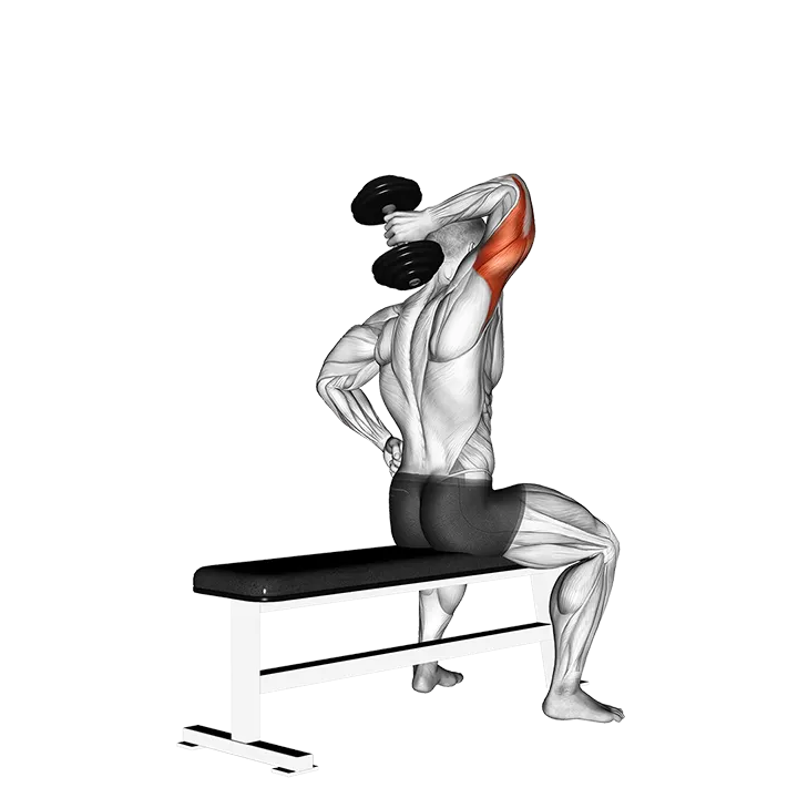 Dumbbell One Arm Triceps Extension (on bench) exercise animation (Male)