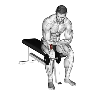 Dumbbell One arm Wrist Curl