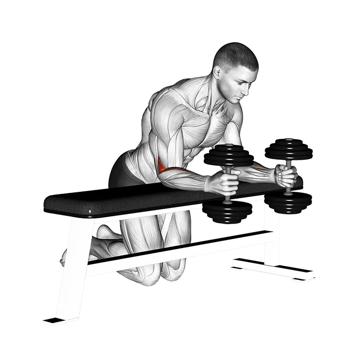 Dumbbell Over Bench Neutral Wrist Curl exercise animation (Male)