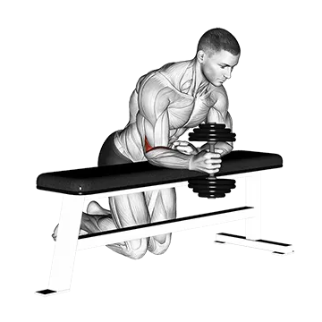 Dumbbell Over Bench One Arm  Neutral Wrist Curl