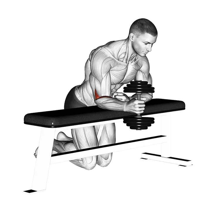 Dumbbell Over Bench One Arm Neutral Wrist Curl exercise animation (Male)