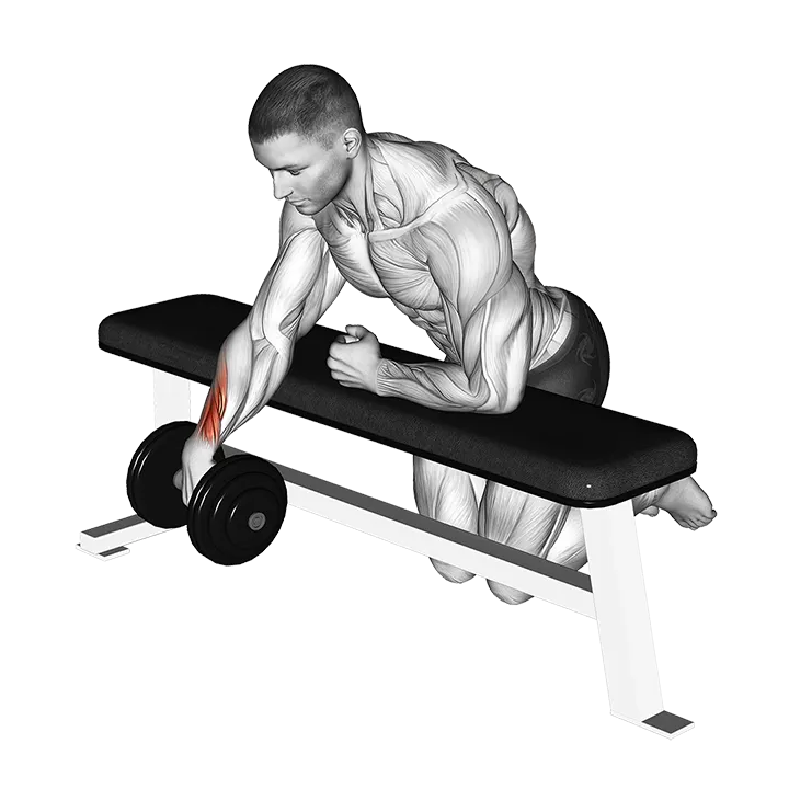 Dumbbell Over Bench One Arm Wrist Curl exercise animation (Male)