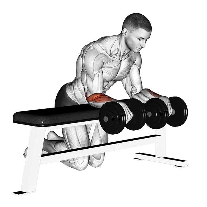 Dumbbell Over Bench Wrist Curl exercise animation (Male)