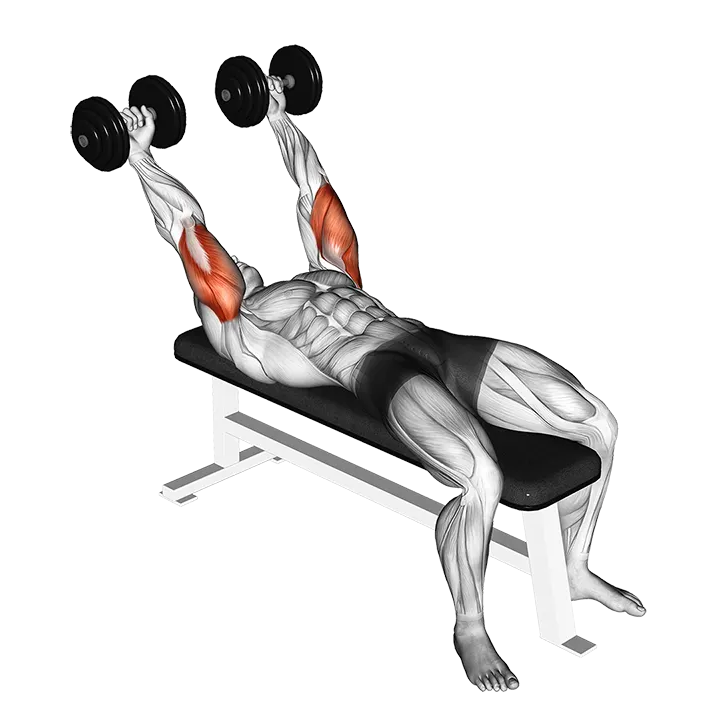 Dumbbell Pronate-grip Triceps Extension exercise animation (Male)