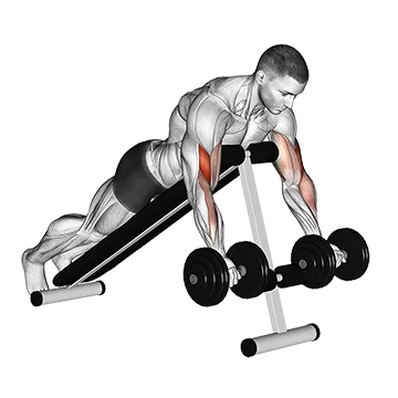 Dumbbell Prone Incline Curl