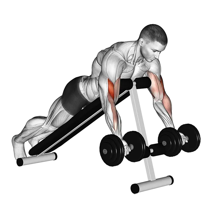Dumbbell Prone Incline Curl exercise animation (Male)