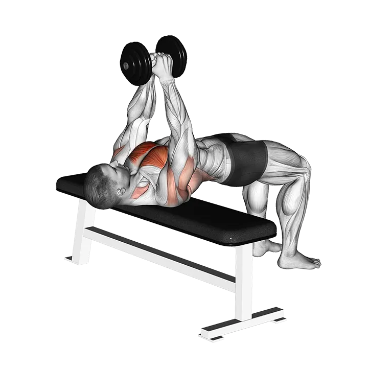 Dumbbell Pullover exercise animation (Male)