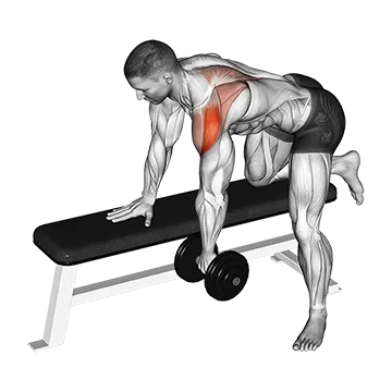 Dumbbell Rear Delt Row_shoulder
