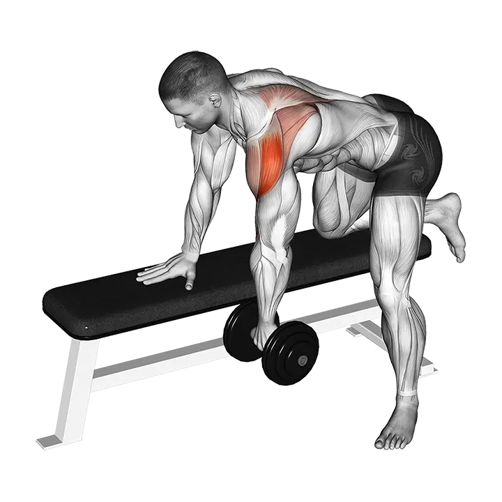 Dumbbell Rear Delt Row exercise animation (Male)