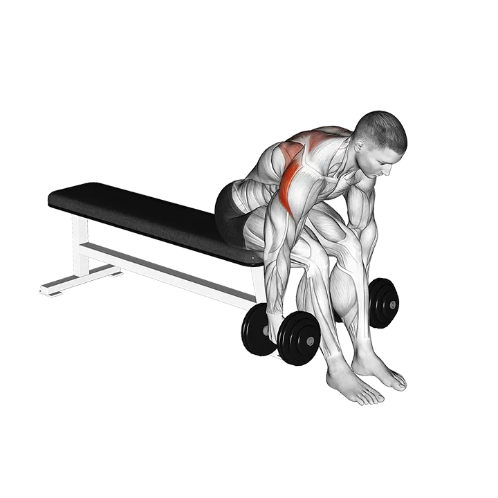 Dumbbell Rear Fly exercise animation (Männlich)