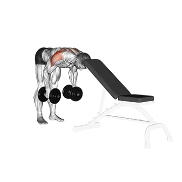 Dumbbell Rear Lateral Raise (support head)