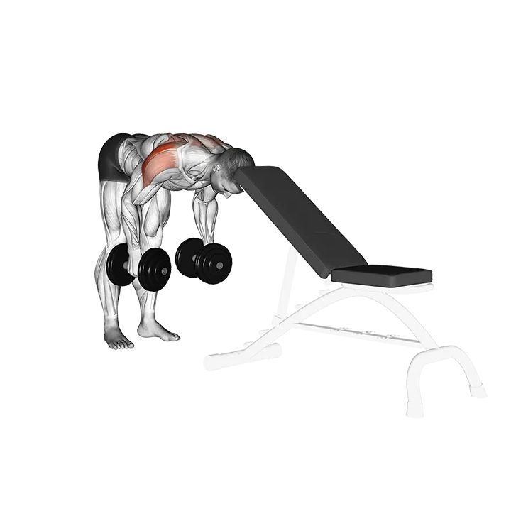 Dumbbell Rear Lateral Raise (support head) exercise animation (Male)
