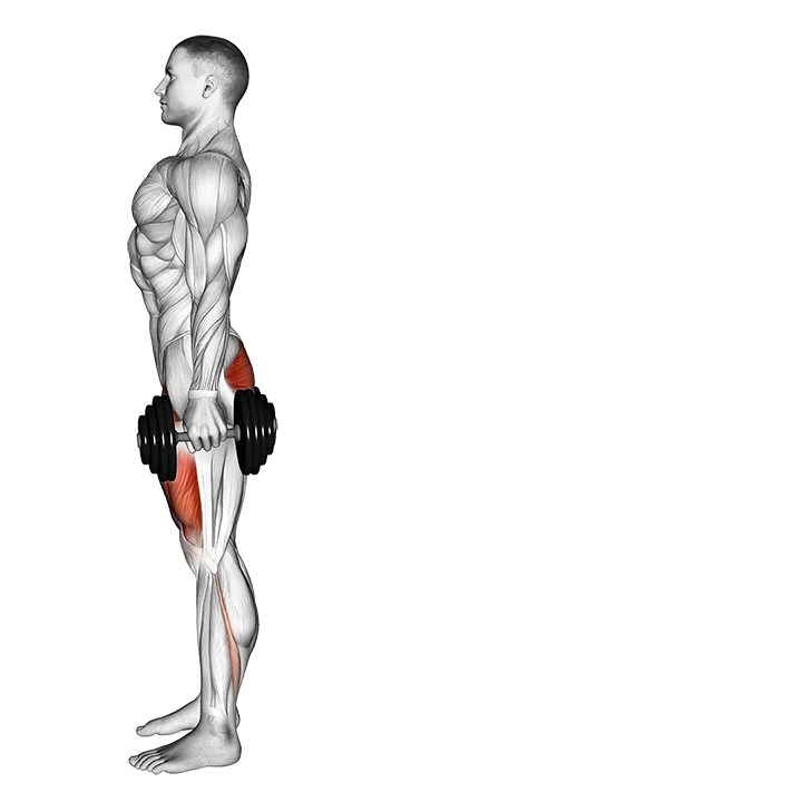Dumbbell Rear Lunge exercise animation (Male)
