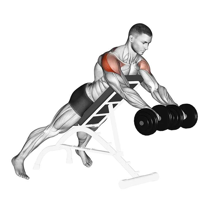 Dumbbell Rotation Reverse Fly exercise animation (Männlich)
