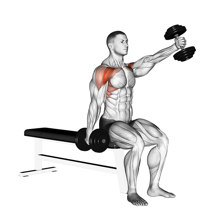 Dumbbell Seated Alternate Front Raise exercise animation (Male)