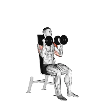 Dumbbell Seated Alternate Press