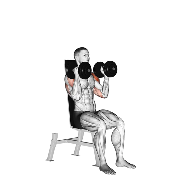 Dumbbell Seated Alternate Press exercise animation (Male)