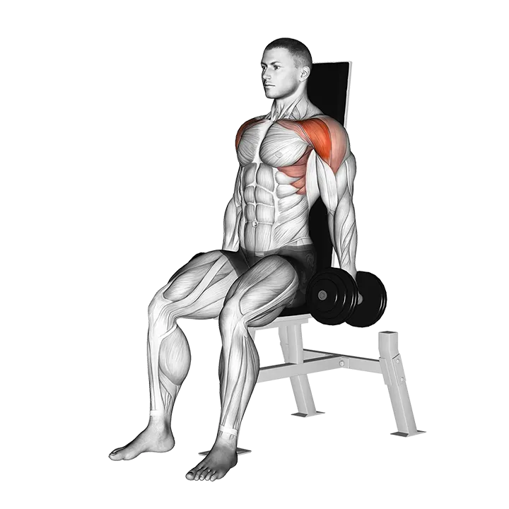 Dumbbell Seated Front Raise exercise animation (Male)
