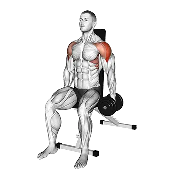 Dumbbell Seated Lateral Raise (version 2)