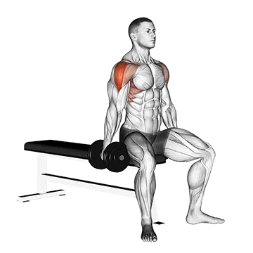 Dumbbell Seated Lateral Raise
